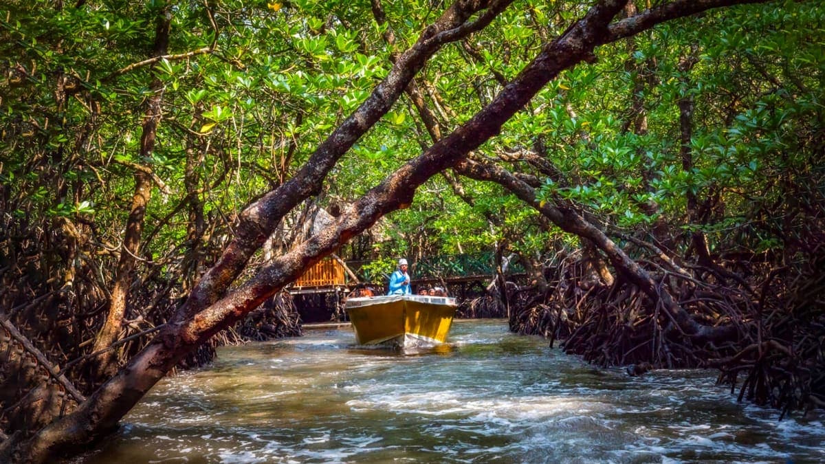 6 Days Andaman Tour Package With Neil