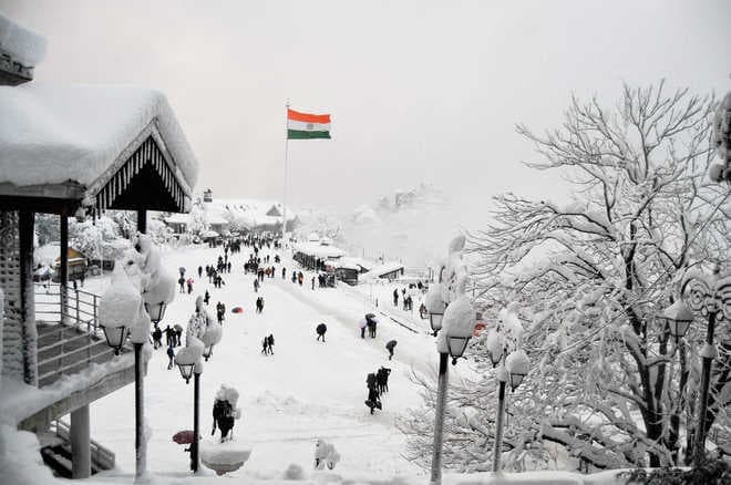 Snow-covered Shimla with pine trees