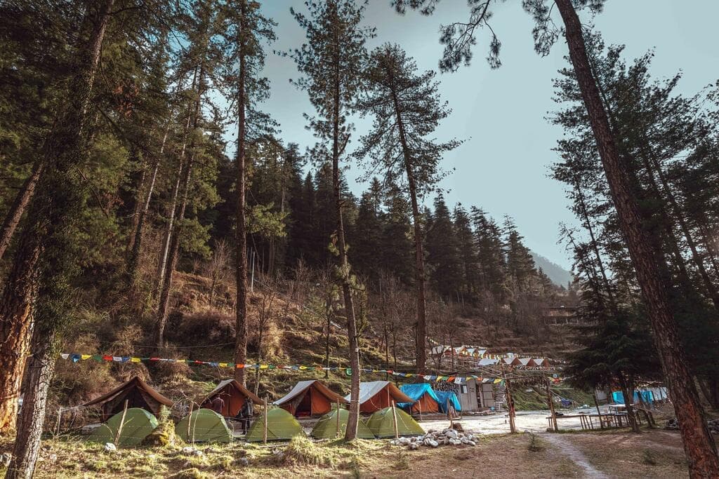 Mushroom foraging in monsoon forest near Kasol