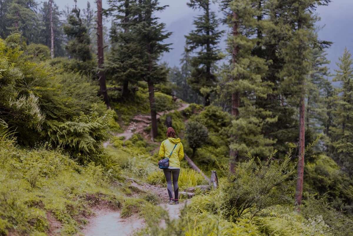 Jibhi Tour Package Image