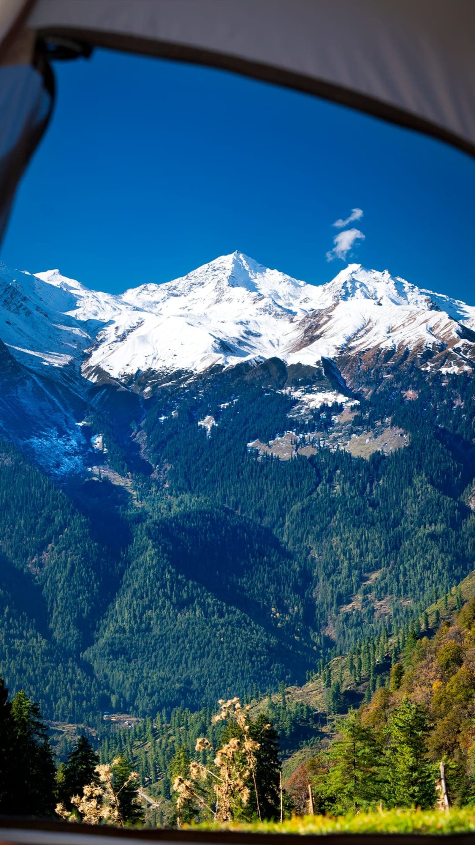 Visit Dharamshala Stadium- Departure to Bir- Overnight stay in Billing.