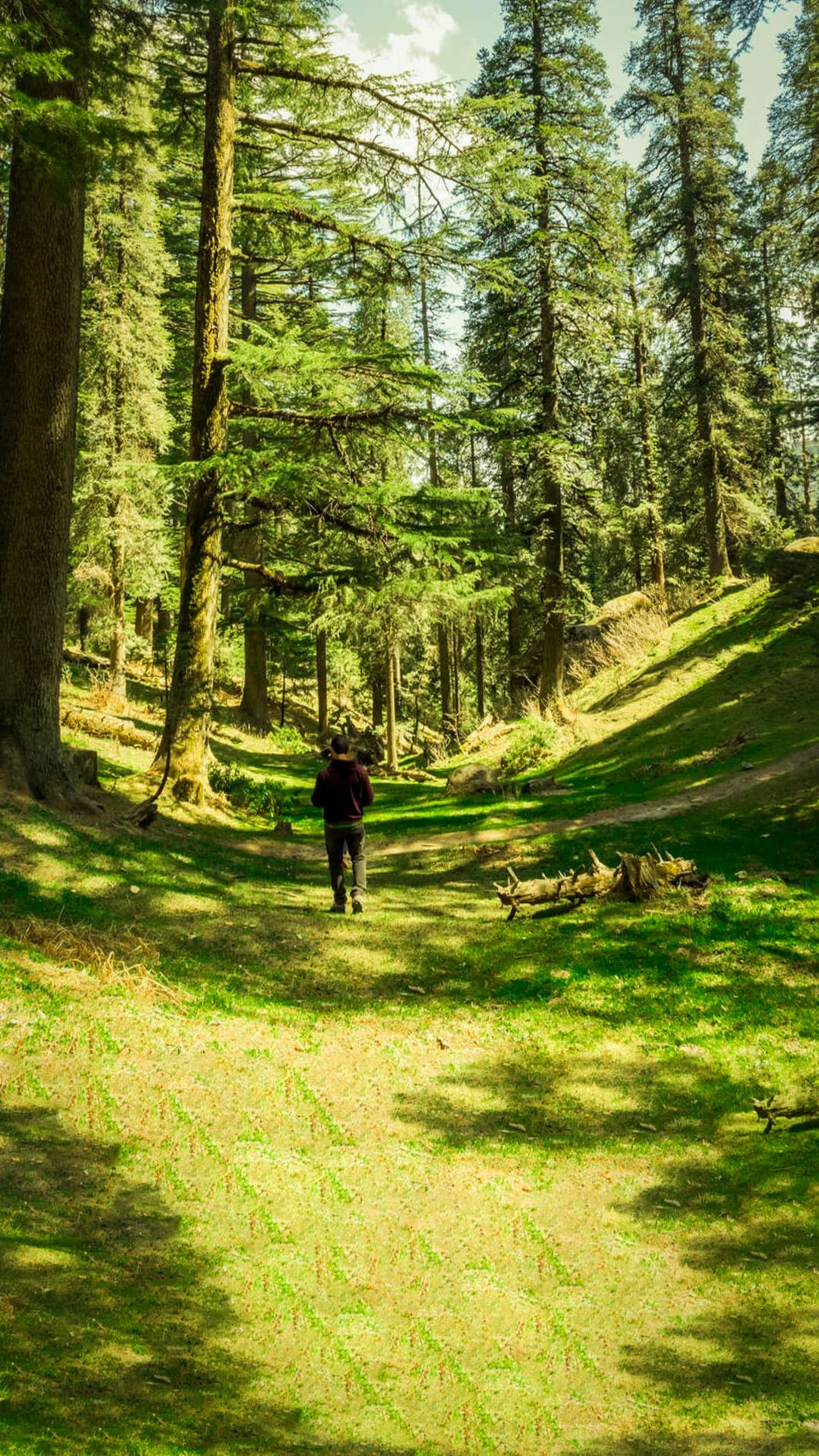 Chalal Village Hiking- Manikaran Visit- Café Hopping- Overnight stay In Kasol.