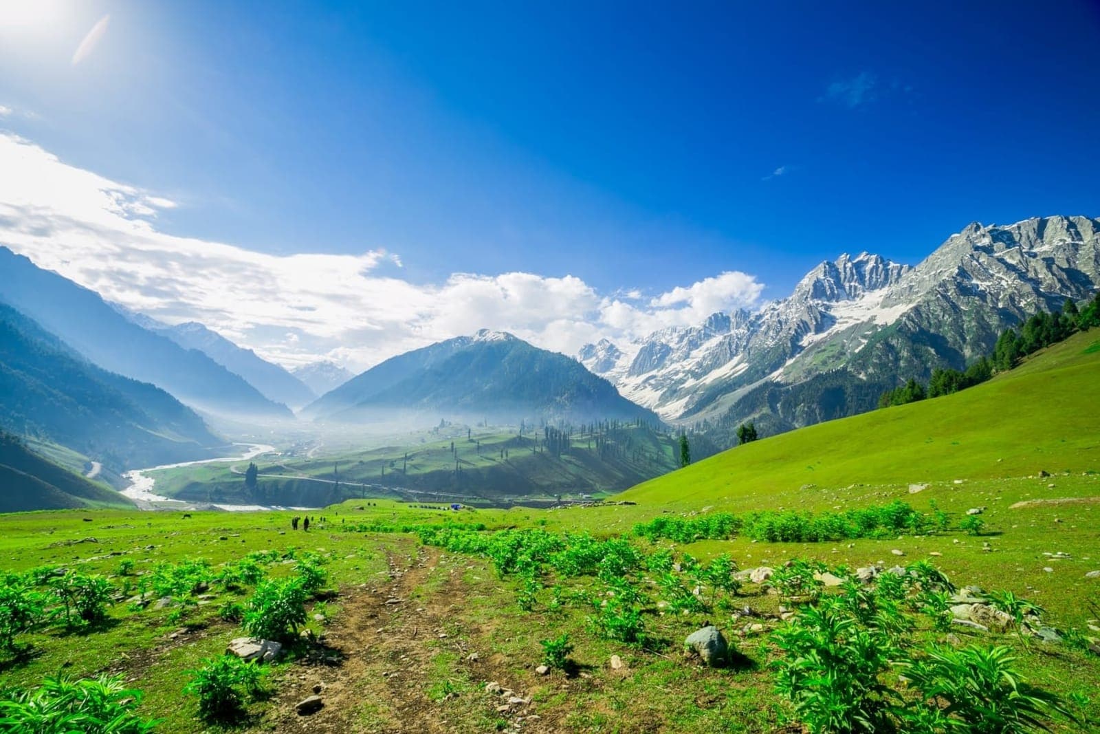 Excursion To Sonmarg. Pony Ride To Thajiwas Glacier.