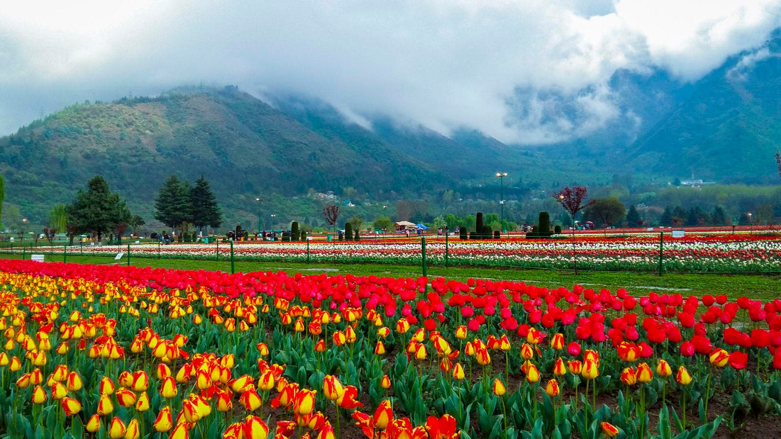 Srinagar To Gulmarg. Enjoy Asia’s Highest Gandola Ride