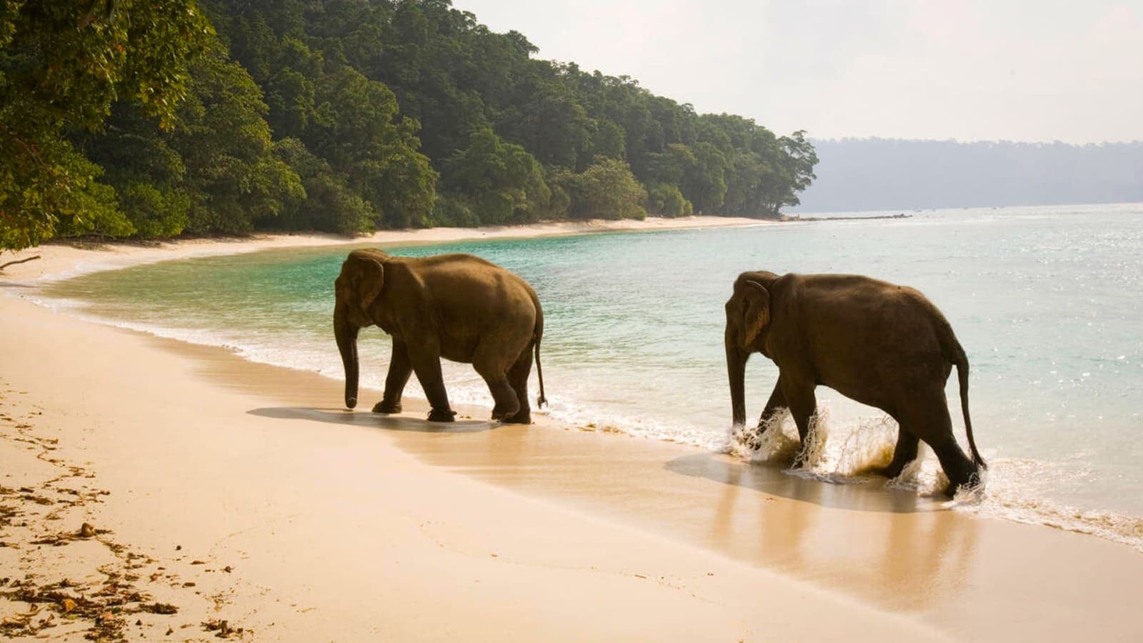 Port Blair To Havelock in Ferry. Later Radhanagar Beach visit Until Sunset