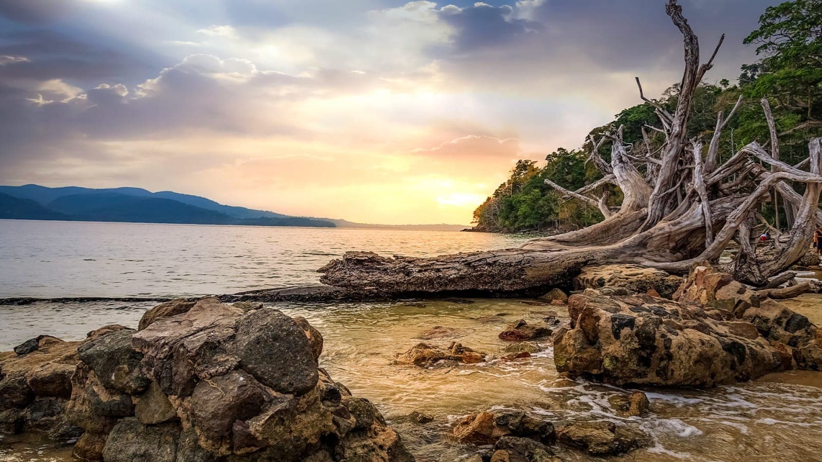 Transfer from Havelock To Neil Island. Later we will visit Bharatpur Beach, Natural Bridge and Laxmanpur Beach For Sunset. Overnight stay in Neil Island
