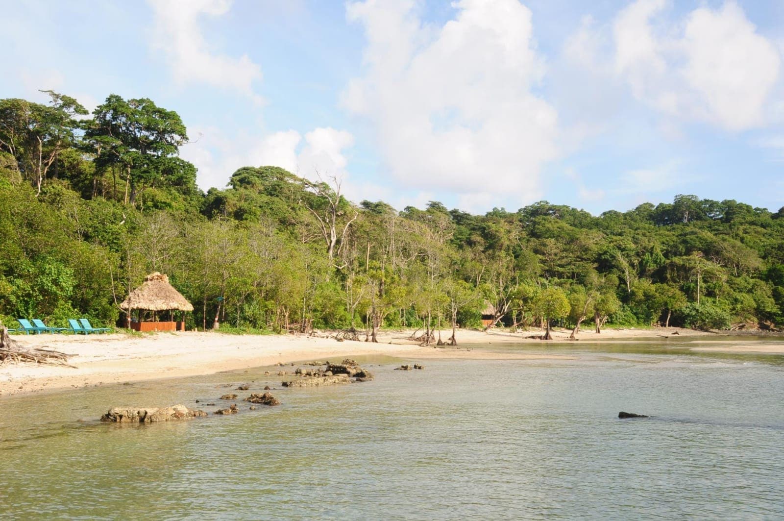 Port Blair to Havelock Island on Cruise. Visit the Radhanagar Beach.