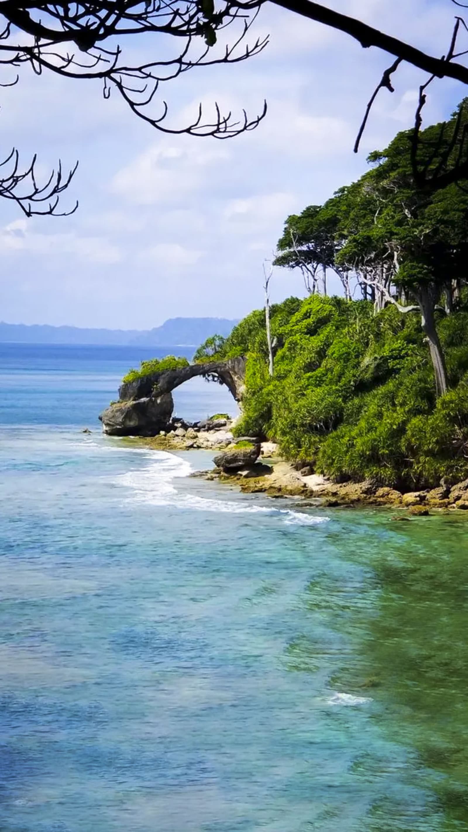 HAVELOCK ISLAND to NEIL ISLAND IN CRUISE + NEIL BEACHES