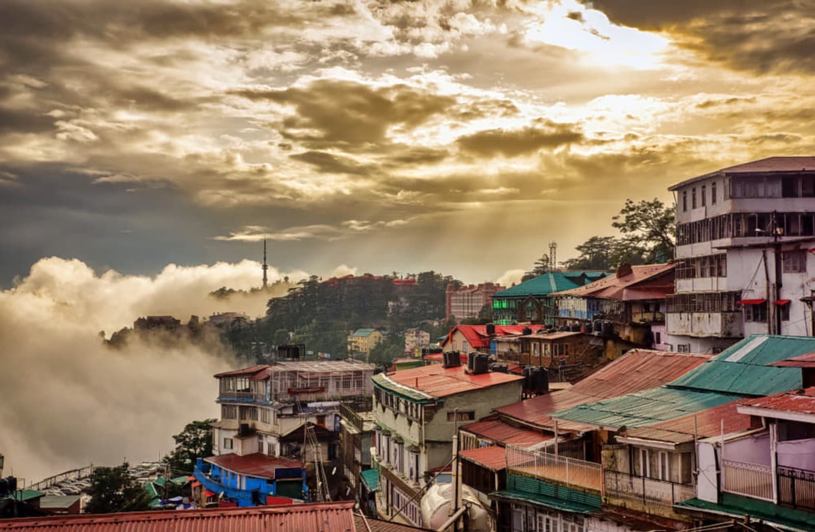 Shimla → Mashobra Orchards → Narkanda