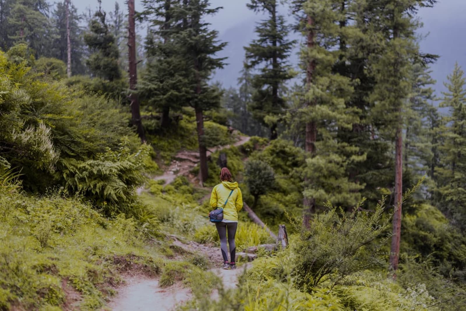 Delhi to Aut | Hit the Road Towards the Mountains of Himachal