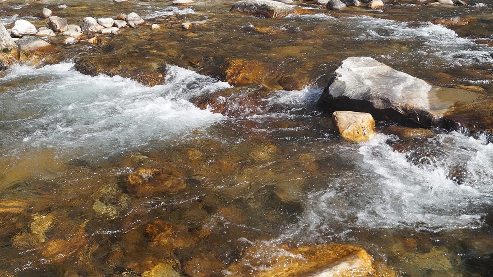 Sightseeing Day — Tirthan Valley's Best Kept Secrets