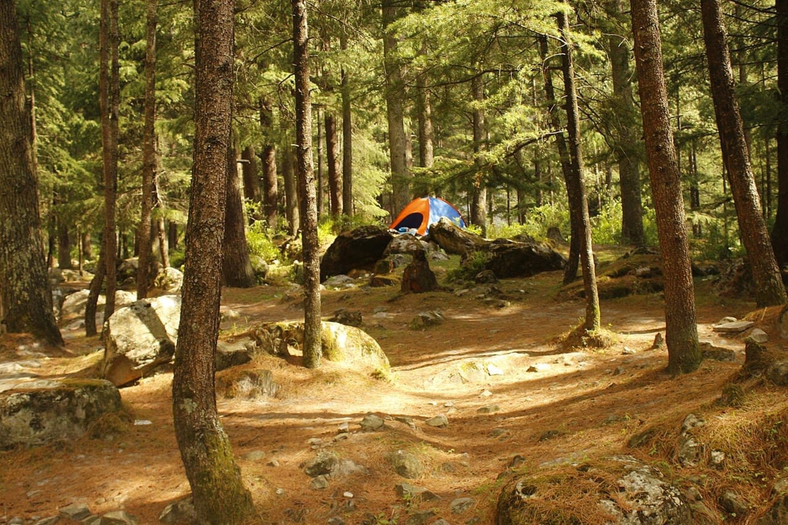 Romantic Arrival — Welcome to Kasol