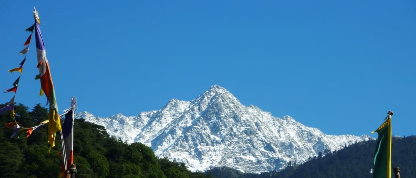 Sightseeing Day — McLeodganj's Best Kept Secrets