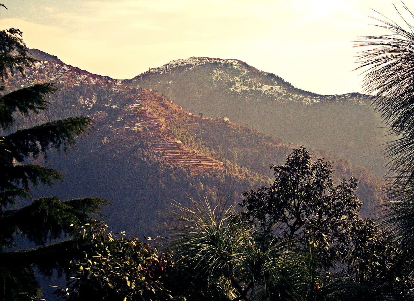 Sweet Farewell — Departure Day