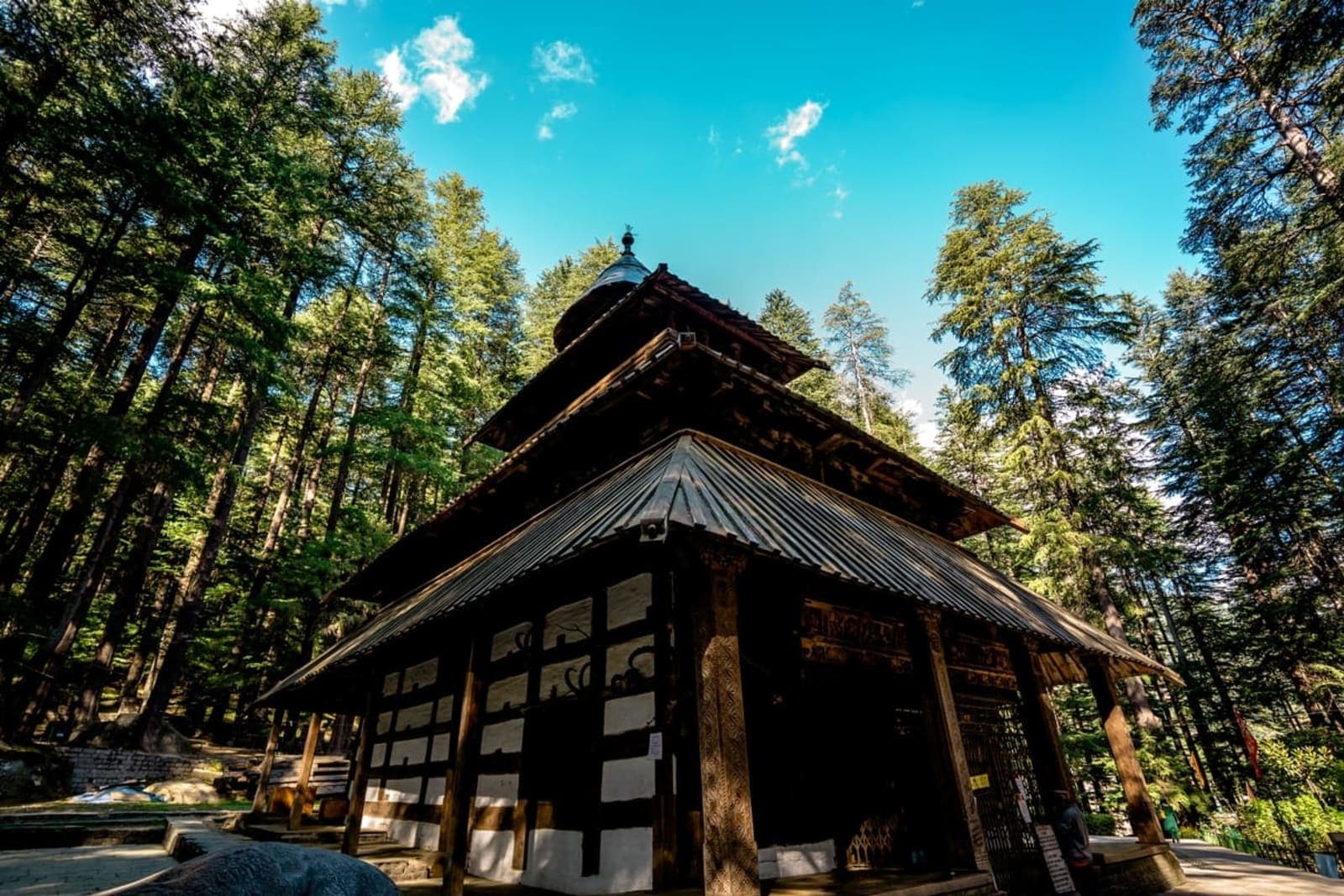 Final Fair Visit & Departure