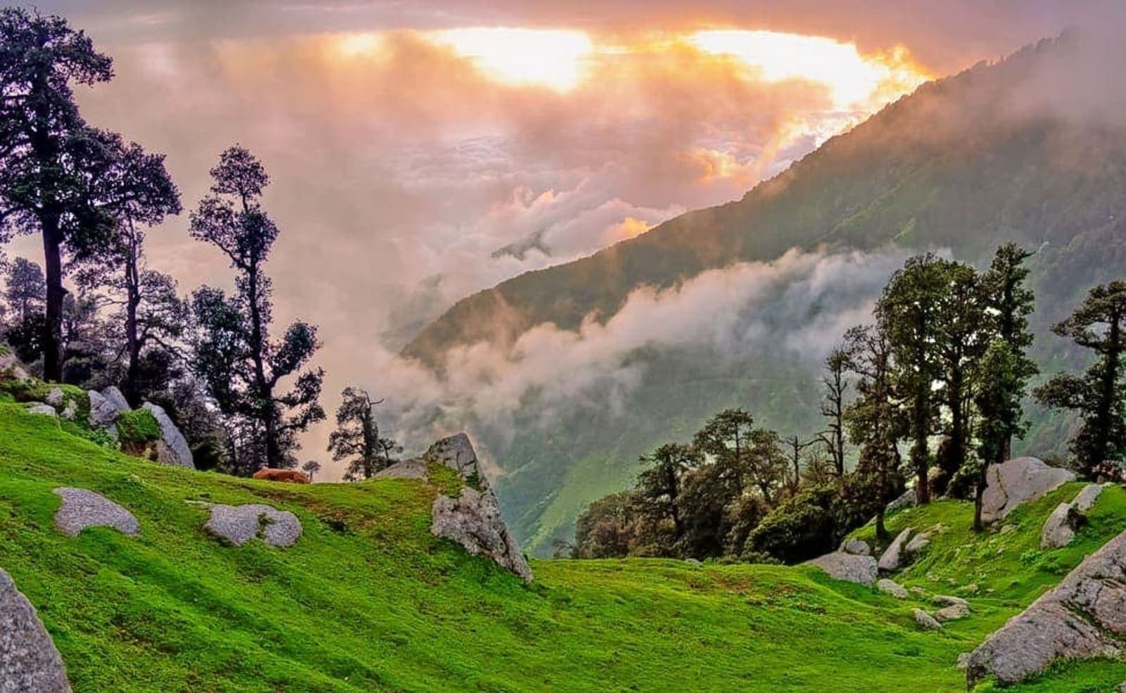 Morning Vibes & Departure