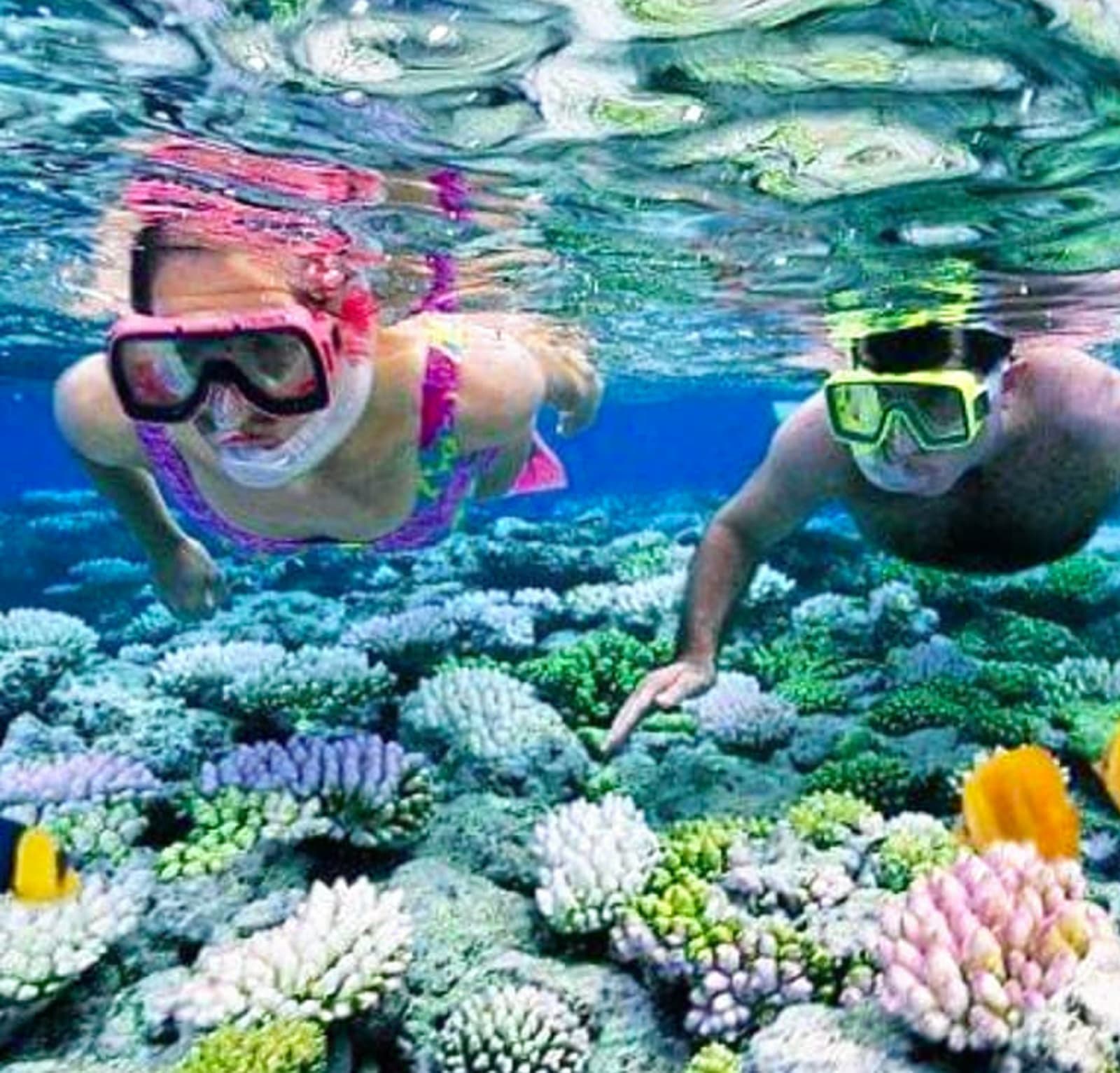 Farewell — New Friends Forever