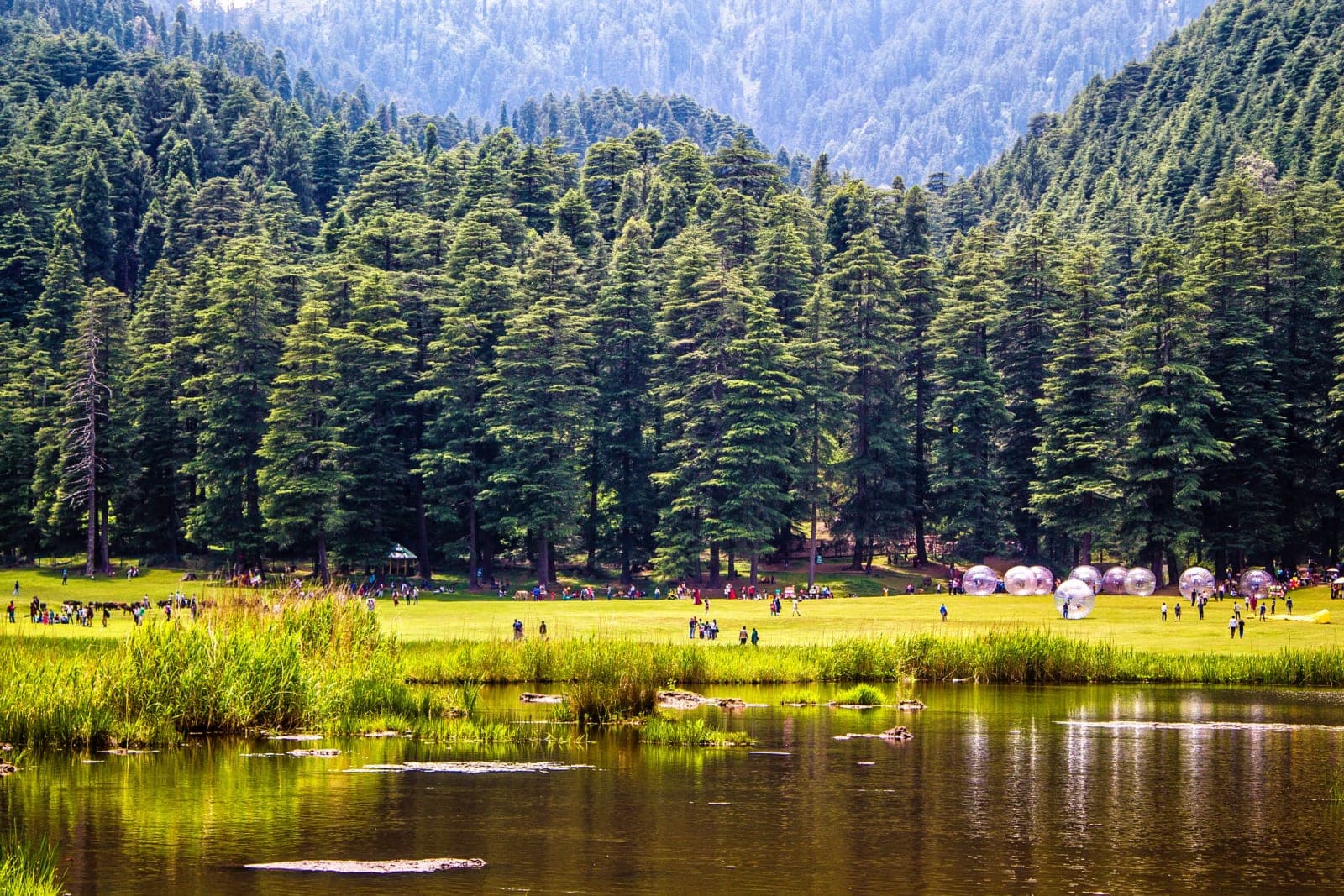 Meet Your Tribe — Dalhousie Begins