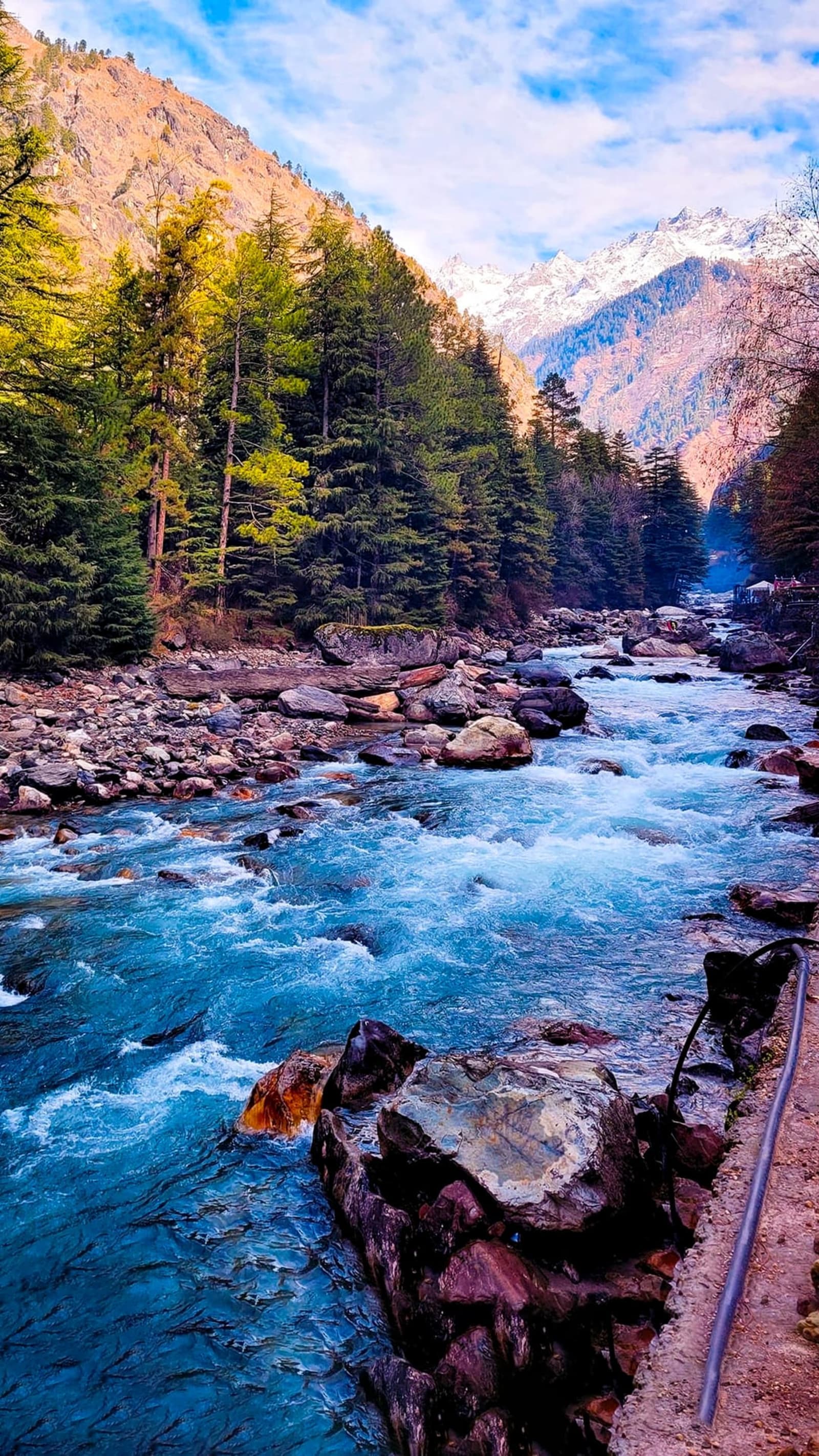 Return to Shimla & Departure