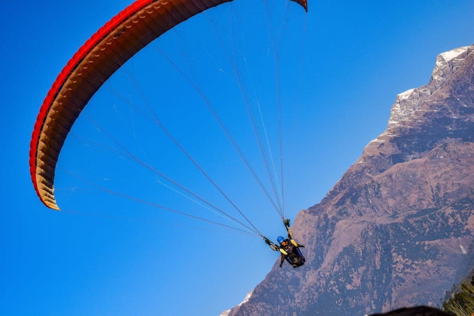 Farewell — New Friends Forever